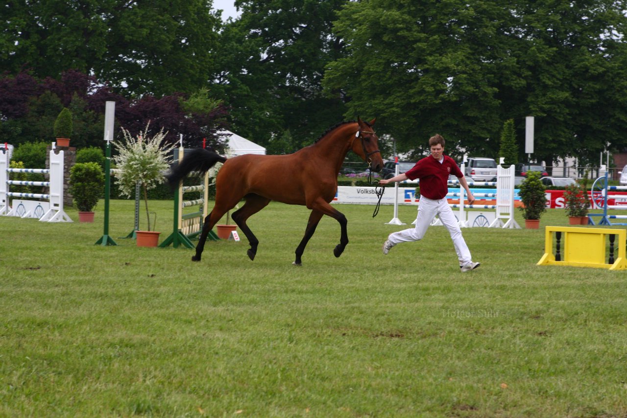 Bild 61 - Elmshorn am 9.6.10